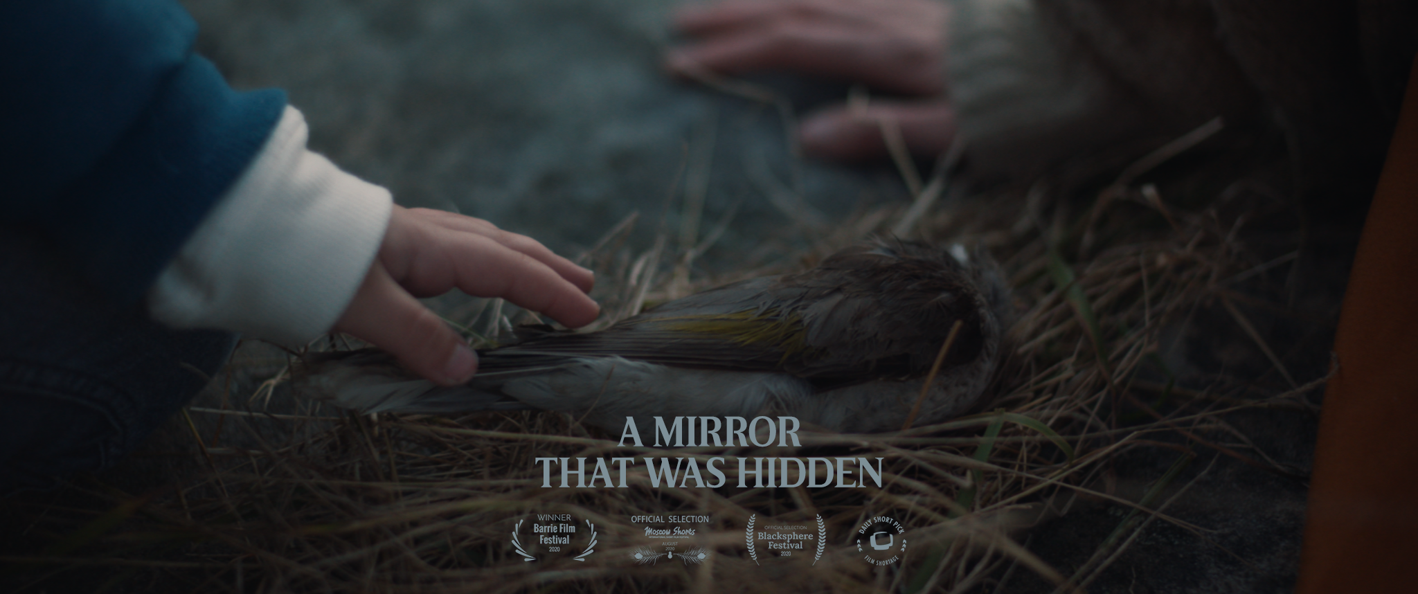 A Mirror That Was Hidden